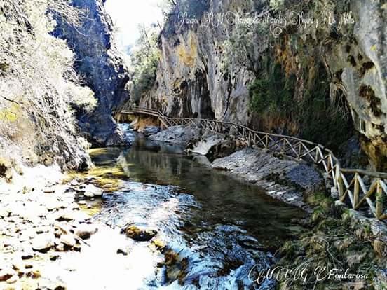 Cabanas De Madera El Rinconcillo Arroyo Frio Exterior foto